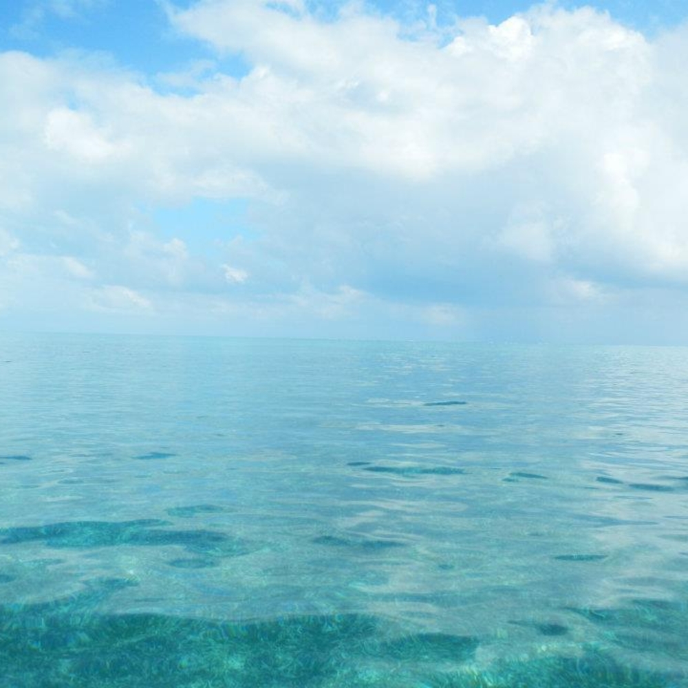 Meet your Posher, Paul